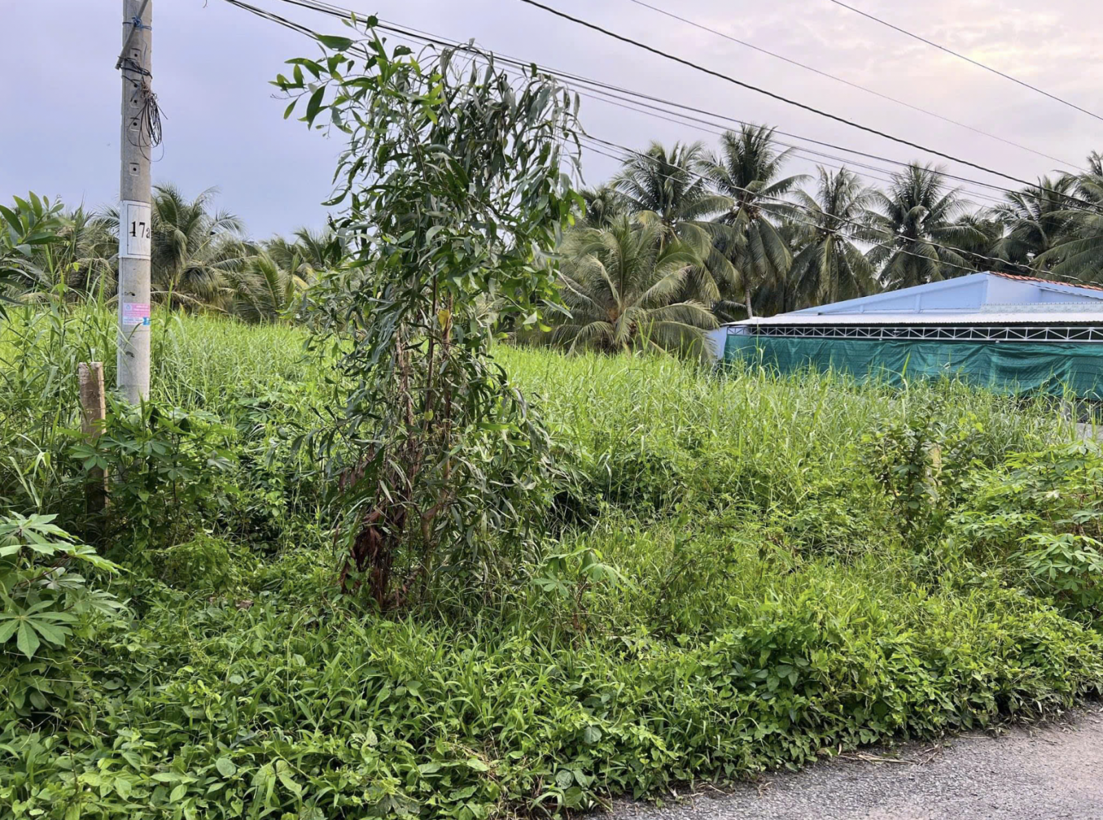 Đất Nền Chợ Gạo Tiền Giang 