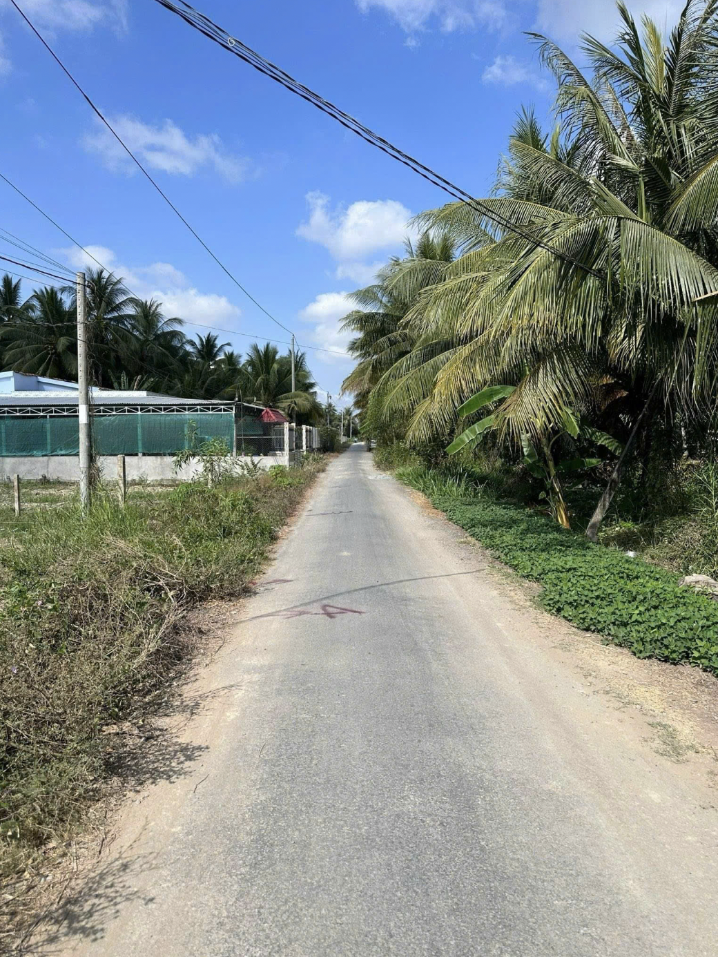 Đất Nền Chợ Gạo Tiền Giang 