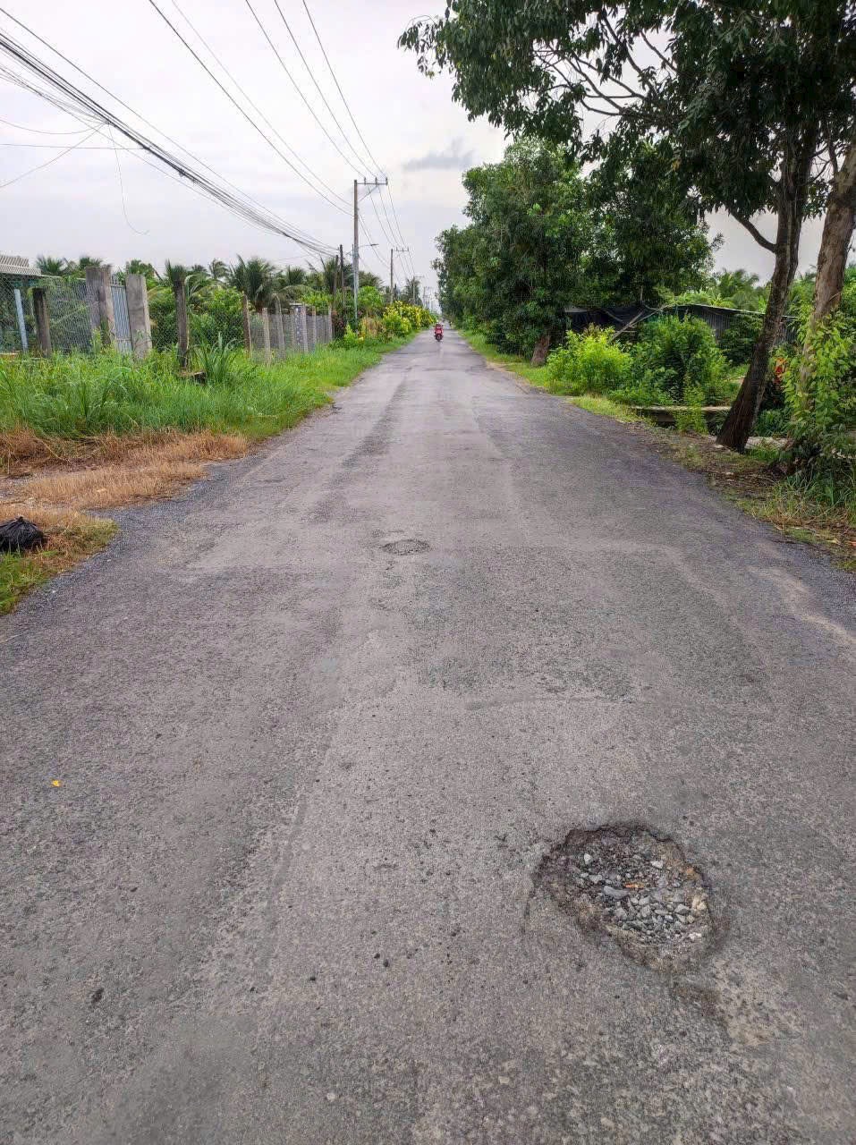 ĐẤT CLN THẠNH NHỰT GCT TIỀN GiANG 