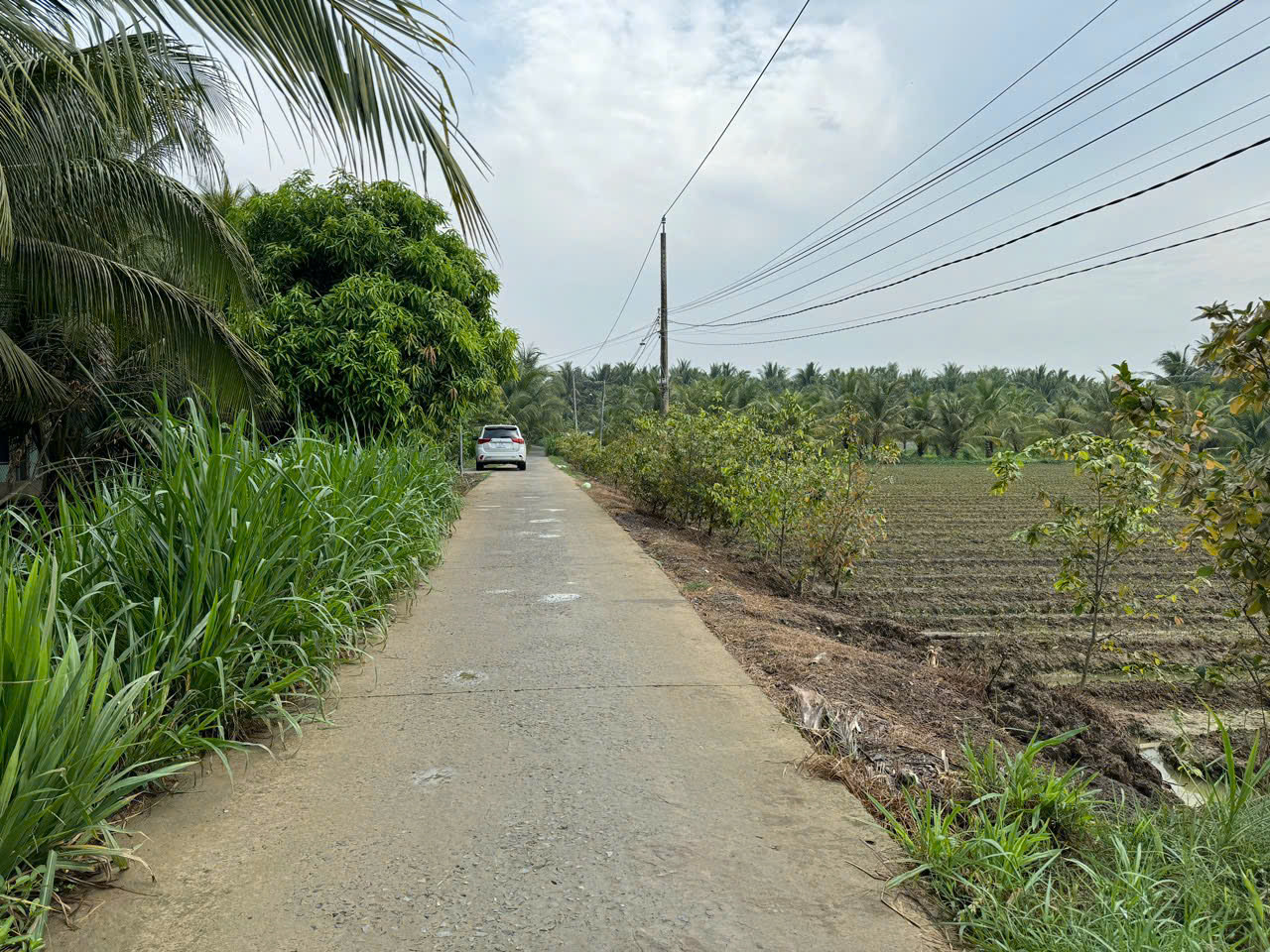 Đất nền Chợ Gạo 
